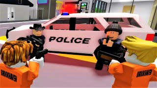 Brookhaven 🏡RP Funny Moments Police Chase  Robuxman 5 [upl. by Drawyah]