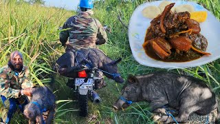 very cold morning terrifying wild boar attack catch clean and cook [upl. by Varipapa531]