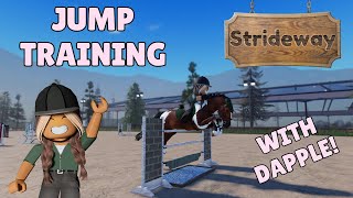 TRAINING SECRETS Strideway Competition Prep with DAPPLE [upl. by Gytle765]