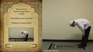 How to Pray  Asr Afternoon Pray  Fardh [upl. by Nylirehs384]