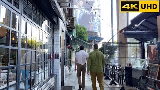 Avenida del Libertador  Buenos Aires  Argentina  Walking tour 4K UHD 2023 [upl. by Lyman738]