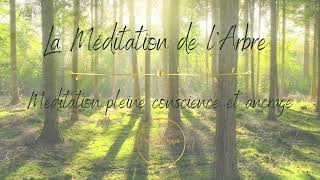 MÉDITATION PLEINE CONSCIENCE  ANCRAGE 🌱😌 [upl. by Stefania]