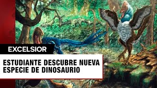 Estudiante descubre nueva especie de dinosaurio tras comprar fósiles para un proyecto escolar [upl. by Nylia]