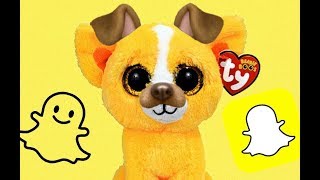 BEANIE BOOS REACT TO SNAPCHAT [upl. by Shep269]