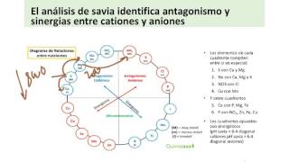 6 Análisis de Savia [upl. by Brockwell]