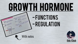 Growth Hormone  Functions  Regulation  Somatomedins  Endocrine Physiology [upl. by Nus]