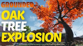 Oak Tree Explosion Walkthrough in Grounded 2024 [upl. by Ainotal]