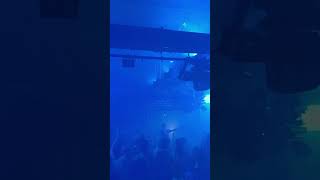 Bootshaus live Miss K8 trending hardstyle viralvideo rave techno party dj viralshorts trend [upl. by Marchak502]