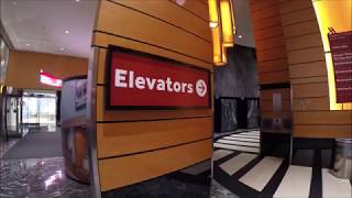 100 Subs Schindler Miconic 10 HighSpeed Traction Elevators Marriott Marquis Times Square NY [upl. by Warner]