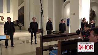 Vokalensemble Zürich West Schweiz Great god of love ICCC Marktoberdorf 2019 [upl. by Marcellus]