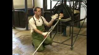 Using a Calf Jack [upl. by Man]