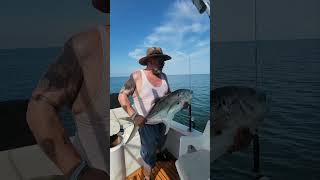 Puerto Vallarta Fishing 2024 Jurel Toro Cravalle Jack puertovallarta jurel crevalle fishing [upl. by Ecnahc]