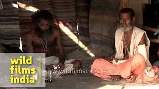 Aghori sadhus conversing with each other [upl. by Cowen]