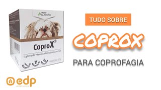 68  COPROX  REMÉDIO PARA CACHORRO COM HÁBITO DE COMER COCO  COPROFAGIA [upl. by Carbo]