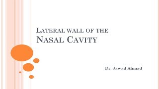 Lateral wall of the Nasal Cavity Detailed Anatomy of the Nose and Nasal Cavity 22 [upl. by Aicilanna]