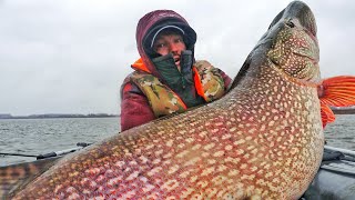 Я НЕ ВЕРЮ В ЭТО ПЕРВЫЙ ЛЁД НЕ НУЖЕН САМЫЕ БОЛЬШИЕ ЩУКОМОНСТРЫ ЖИЗНИ 15 13 кг и БОЛЕЕ [upl. by Adnim88]