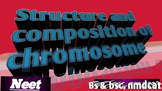 structure and composition of chromosomepart 2 [upl. by Sonafets]