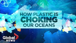 Plastic pollution crisis How waste ends up in our oceans [upl. by Candide812]