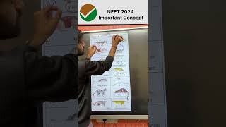 NEET 2024 Important Concept Placental Mammals amp Australian marsupials 😁 neet neet2024 neet2025 [upl. by Acisseg]