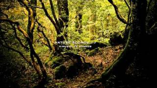 Nature Sound 17  THE MOST RELAXING SOUNDS [upl. by Nilyak]