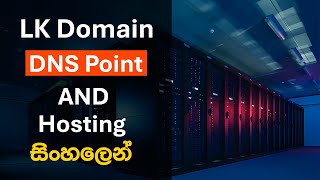 How to point DNS Records in LK domain and hosting with Hostinger C panel [upl. by Corder351]