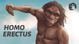 Homo Erectus  The First Humans [upl. by Irmgard]