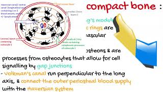 Bone matrix and its component Part 1 [upl. by Yor586]