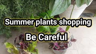 Be careful if you are shopping for plants in hot weather summer shopping plants [upl. by Andria]