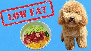 3 Easy Low Fat Dog Food Recipes for Pancreatitis [upl. by Kilk]