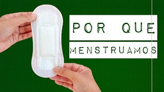 POR QUE MENSTRUAMOS [upl. by Vivian348]