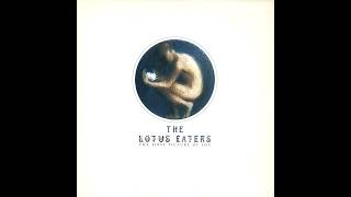 The Lotus Eaters – The First Picture Of You 12 Version [upl. by Akcirehs]