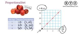 X 41 Proportionalitet [upl. by Gideon]