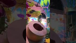 Stunning Bellagio Summer Garden Display 2024 vegas lasvegas bellagio shorts highlights short [upl. by Ping983]