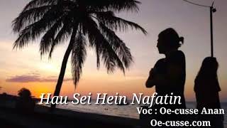 Lagu Timor Terbaru Galau 2019 HAU SEI HEIN NAFATIN O [upl. by Aicilla]