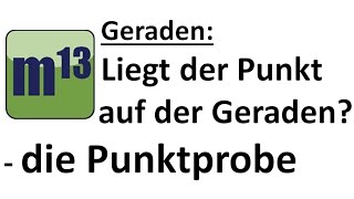 Liegt der Punkt auf der Geraden  Punktprobe und Beispielaufgaben [upl. by Daniyal652]