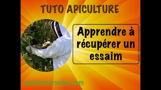 TUTO apiculture  comment récupérer un essaim dabeilles après essaimage wwwavosruchescom [upl. by Elvyn]