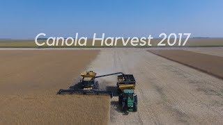 canola harvest 2017 [upl. by Wit]