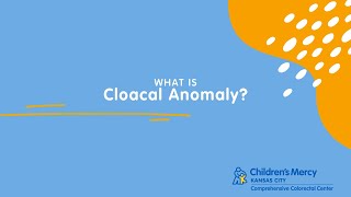 Diagnosing and Treating of Cloacal Anomaly [upl. by Thorrlow]