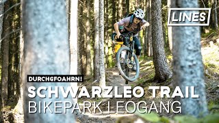 Schwarzleo Trail  Bikepark Leogang  LINES [upl. by Gerstein]