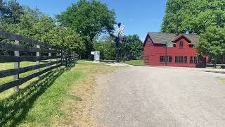 Edison at fire stone farm 052524 [upl. by Llerrahs]