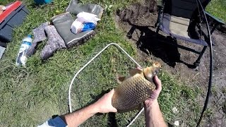 Рыбалка Ловля карпа на горох Carp Fishing [upl. by Eannaj]