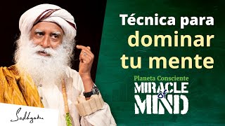 Una técnica para dominar la mente  El milagro de la mente Sadhguru Español [upl. by Enamart]