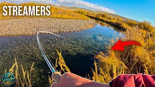 Finding a Giant Brown Trout Streamer Fishing [upl. by Aiet]