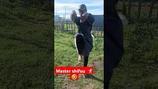 Master shifuu 🤣🤺comedy xhosa gqeberha easterncape creatorsearchinsights2024 xhosanation [upl. by Adnorrahs877]