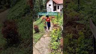 2 best resorts in coorg under 56k  budget friendly resorts in coorg  resorts in madikeriHomestay [upl. by Eirot]