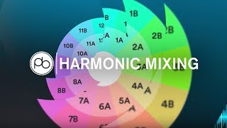 Harmonic Mixing Tips amp Tricks w Mixed in Key [upl. by Heyman]