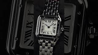 CARTIER PANTHÈRE STEEL S SILVER DIAL 2024 [upl. by Htebarual]