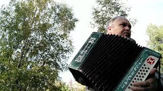 Accordion Melody on the park alley Free for everyone [upl. by Ludlow]