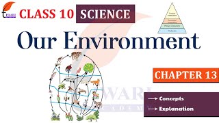 GCSE Biology  Biotic and Abiotic Factors 83 [upl. by Dede]