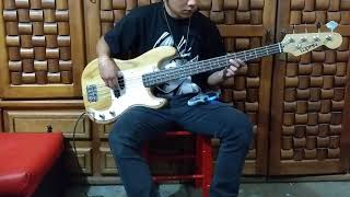 Liran Roll  Maria Cover Bass [upl. by Urban]